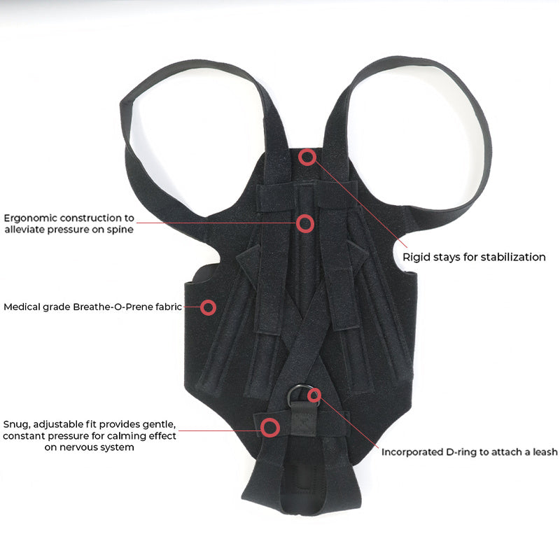 Back Brace For Dogs With IVDD, Arthritis, Back Pain, Surgical Recovery And Rehabilitation